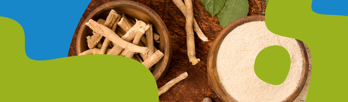 Ashwagandha - Benefits, Types and How to Choose